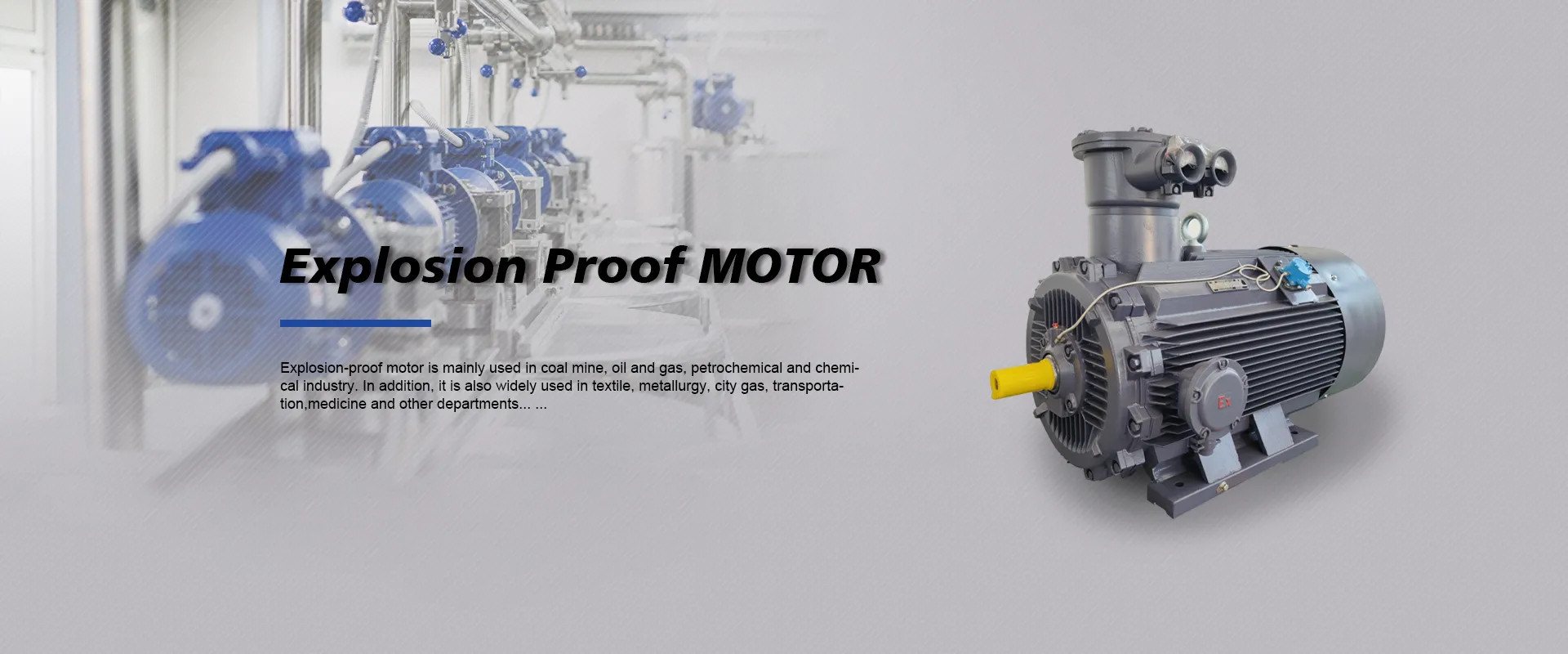 Explosion Proof Motor